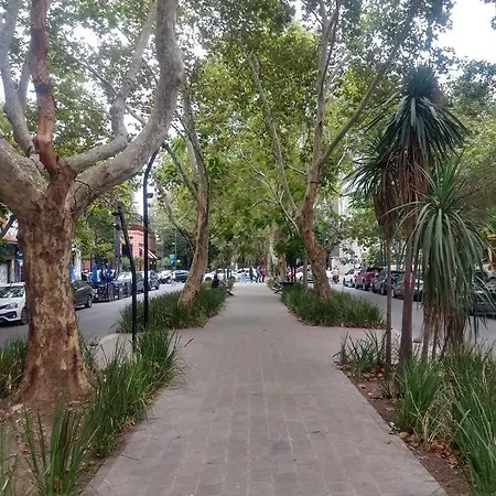 Hermoso Departamento En La Plata Soho - Centro - Cochera Opcional Exterior photo